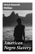 American Negro Slavery - Bild 1