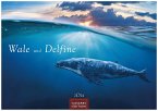 Wale und Delfine 2024 S 24x35cm
