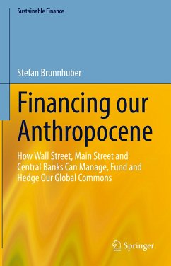 Financing our Anthropocene (eBook, PDF) - Brunnhuber, Stefan