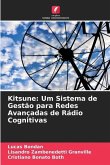 Kitsune: Um Sistema de Gestão para Redes Avançadas de Rádio Cognitivas