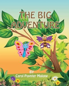 Cover The Big Adventure