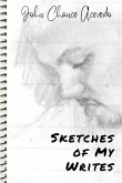 Sketches of My Writes