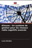Kitsune : Un système de gestion pour les réseaux radio cognitifs avancés