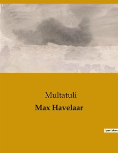 Max Havelaar - Multatuli