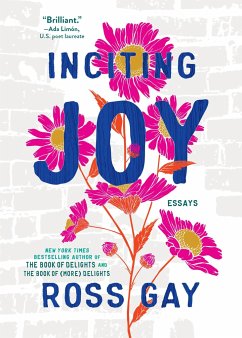 Inciting Joy - Gay, Ross