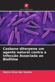 Casbane diterpene um agente natural contra a Infecção Associada ao Biofilme