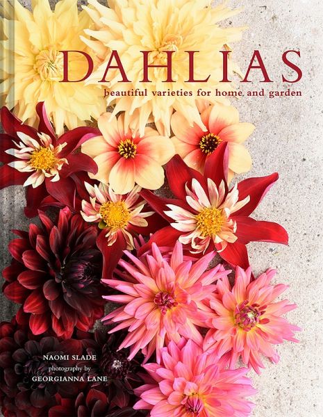 Dahlias (eBook, ePUB)