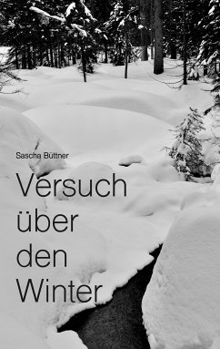 Versuch über den Winter (eBook, ePUB) - Büttner, Sascha