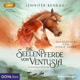 Windprinzessin / Die Seelenpferde von Ventusia Bd.1