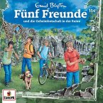 Fünf Freunde und die Geheimbotschaft in der Ruine