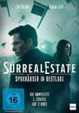 SurrealEstate-Spukhäuser in Bestlage 1. Staffel