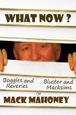 What Now ? (eBook, ePUB)