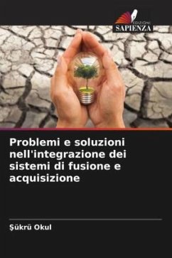 Problemi e soluzioni nell'integrazione dei sistemi di fusione e acquisizione - Okul, Sükrü