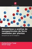 Biossíntese e análise de nanopartículas de ferro mediadas por plantas