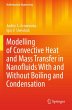 Modelling of Convective Heat and Mass... - Bild 1