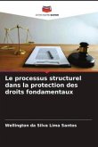 Le processus structurel dans la protection des droits fondamentaux