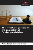 The structural process in the protection of fundamental rights