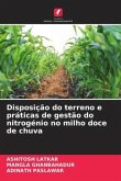 Disposição do terreno e práticas de gestão do nitrogénio no milho doce de chuva