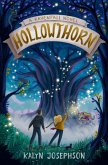 Hollowthorn: A Ravenfall Novel (eBook, ePUB)