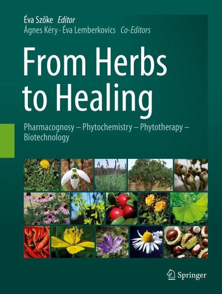 From Herbs to Healing (eBook, PDF) From Herbs to Healing (eBook, PDF)