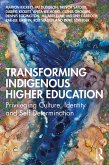 Transforming Indigenous Higher Education (eBook, PDF)