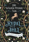 Leuchtende Hügel / Die wilden Pferde von Rydal Hill Bd.1 (eBook, ePUB)