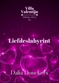 Cover Liefdeslabyrint (Villa Valentijn, #2) (eBook, ePUB)