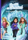 La cité de cristal, Tome 05 (eBook, ePUB)