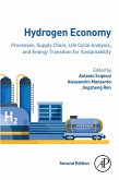 Hydrogen Economy (eBook, ePUB)