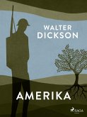 Amerika (eBook, ePUB)