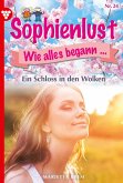 Ein Schloss in den Wolken (eBook, ePUB)