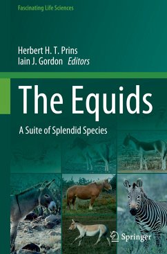 The Equids