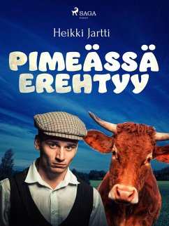 Cover Pimeässä erehtyy (eBook, ePUB)