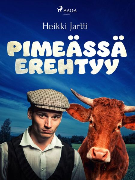 Pimeässä erehtyy (eBook, ePUB)