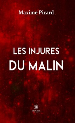 Les injures du malin (eBook, ePUB) - Picard, Maxime