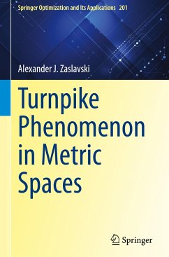 Turnpike Phenomenon in Metric Spaces - Zaslavski, Alexander J.