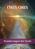 Wanderungen der Seele (eBook, ePUB)