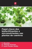 Papel-chave dos biofertilizantes e micronutrientes nas plantas de coentros