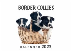 Border Collies - Hübsch, Bibi