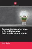 Comportamento térmico e Tribológico dos Brakepads Não Amianto