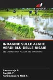 INDAGINE SULLE ALGHE VERDI BLU DELLE RISAIE