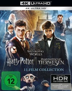 Wizarding World 11-Film Collection: Harry Potter / Phantastische Tierwesen - Daniel Radcliffe,Emma Watson,Rupert Grint