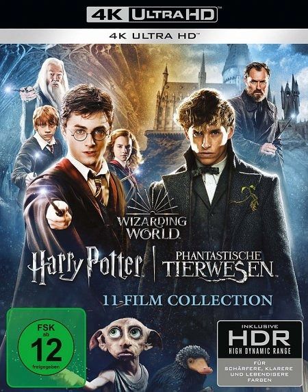 Harry Potter Phantastische Tierwesen Brettspiel