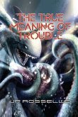 The True Meaning of Trouble (eBook, ePUB)