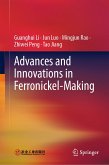 Advances and Innovations in Ferronickel-Making (eBook, PDF)