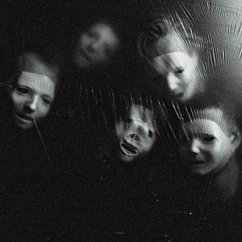 The Great Regression (Lp) - Ditz The Great Regression (Lp) - Ditz