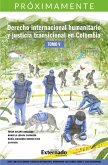 Derecho internacional humanitario tomo V (eBook, ePUB)