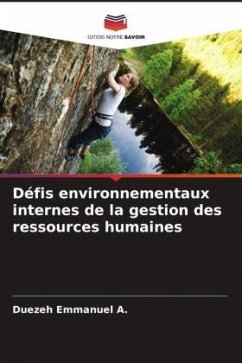 Défis environnementaux internes de la gestion des ressources humaines - Emmanuel A., Duezeh