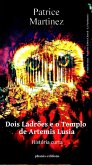Dois Ladrões e o Templo de Artemis Lusia (1) (eBook, ePUB)