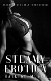 Steamy Erotica (eBook, ePUB)